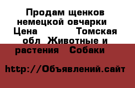 Продам щенков немецкой овчарки › Цена ­ 5 000 - Томская обл. Животные и растения » Собаки   